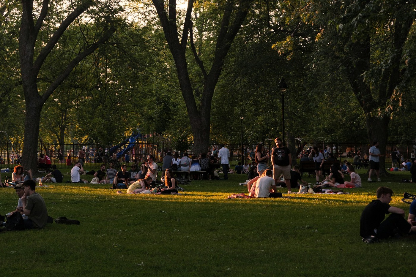 Міський пікнік без одноразового сміття: меню, посуд і безпечне зберігання їжі